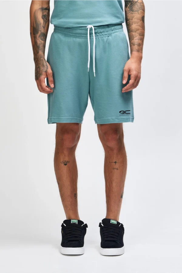 men's arctic gym shorts Australia